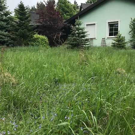 Holiday home Pradowka Miedzichowo